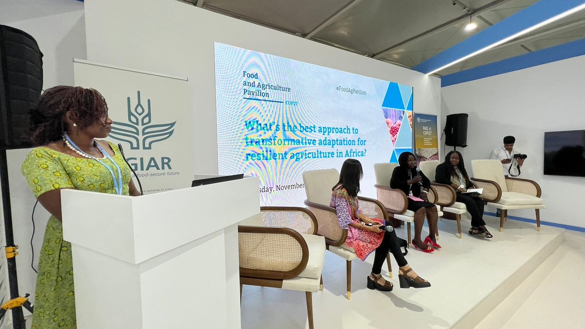 CGIARAfrica tweet picture