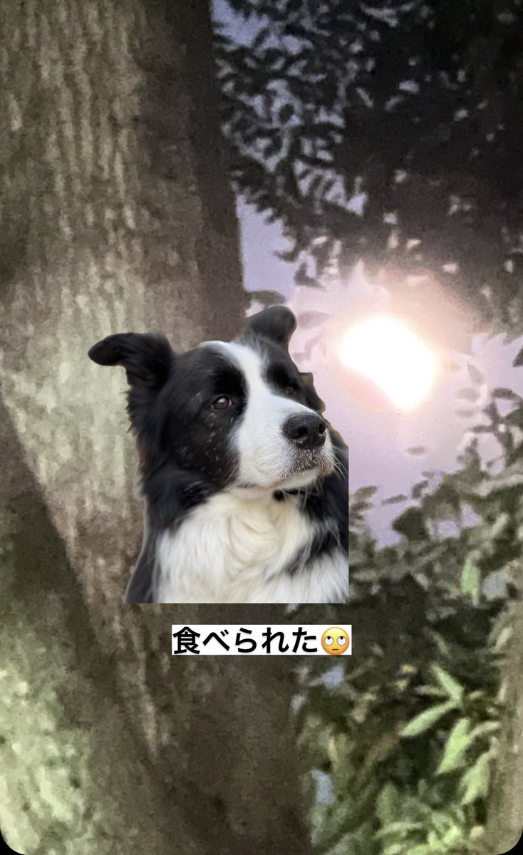 皆既月食と天王星食とチャオズ😊