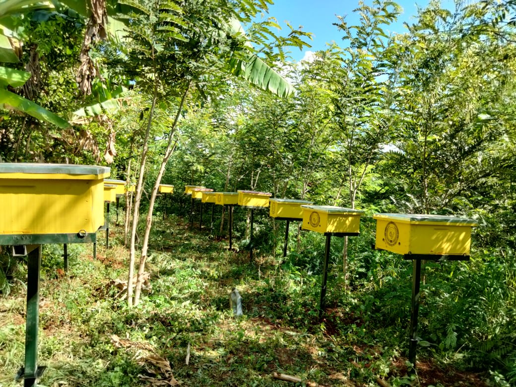 By providing traceability and market access, ApiTrace creates opportunities for rural communities in sub-Saharan Africa. Find out more here: crowdfunder.co.uk/p/apitrace