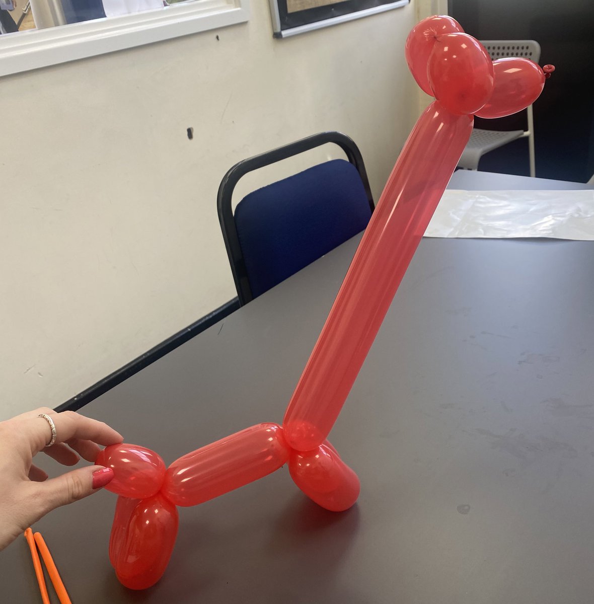 OMA_Grove's tweet photo. Back at it with our Emotional Literacy challenges in The Grove this morning! Today’s challenge was to create a balloon animal.. we think they absolutely smashed it! This was not easy either!!! https://t.co/fv5L9EBJ6M