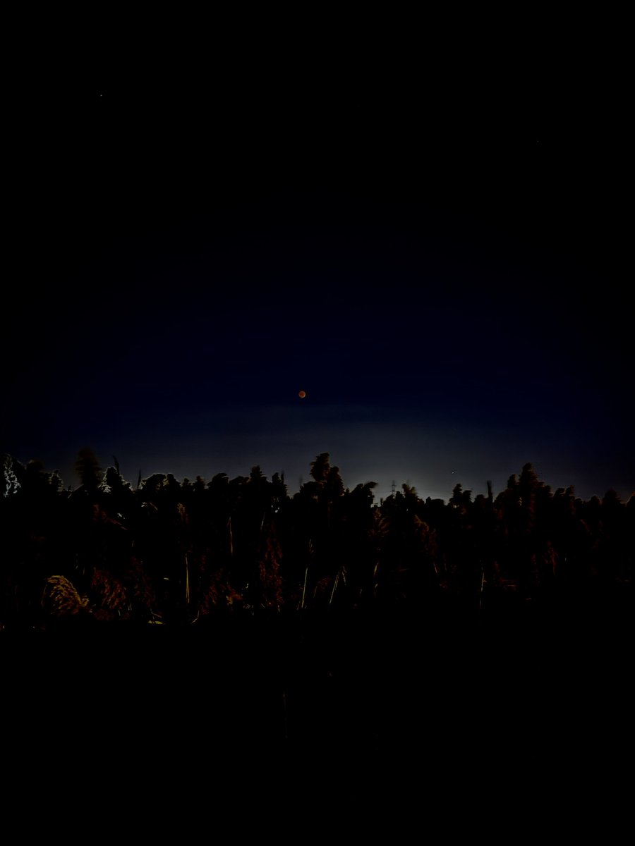 CynthiaMadelyn's tweet photo. @njdotcom #bloodmoon #newjersey #nj #linden https://t.co/FKMOc9OEkR