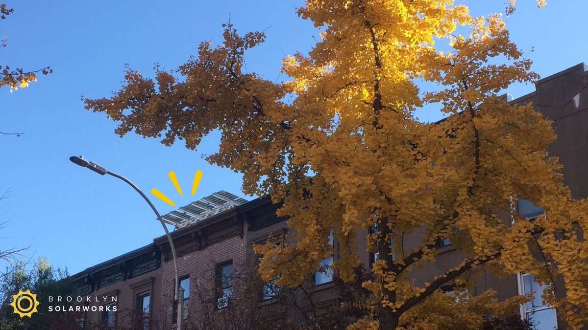 It's really starting to look like Fall, Y'all 🍂
(Peep our #Solarcanopy in the background 👀)

#solarpanels #gosolar #sustainableliving #sustainablefuture #sustainablecity #brooklynlife #fallvibes