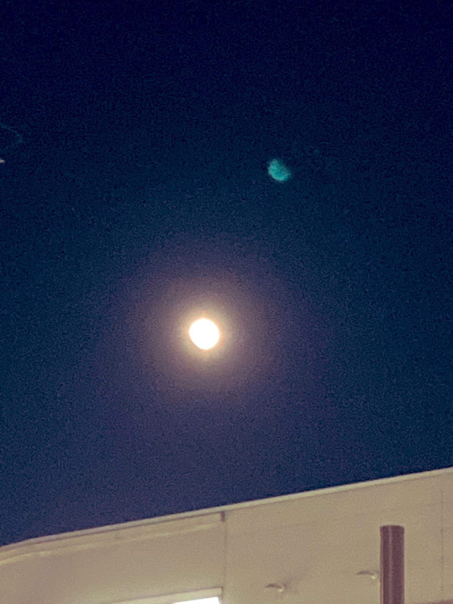 Yusuke Suzumura/鈴村裕輔 on Twitter 