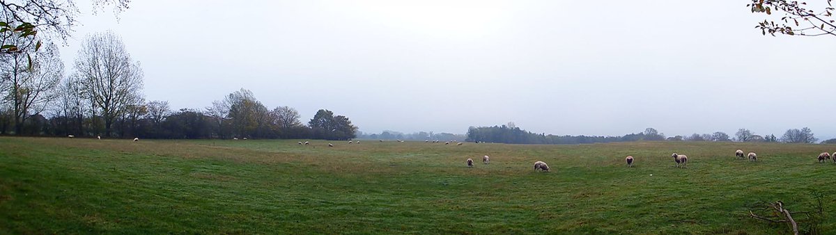 Jennife14435458's tweet photo. @PanoPhotos many #faces of sheep watching mw when taking my photos β€οΈ #Panoshots https://t.co/GXb6OnsCOj