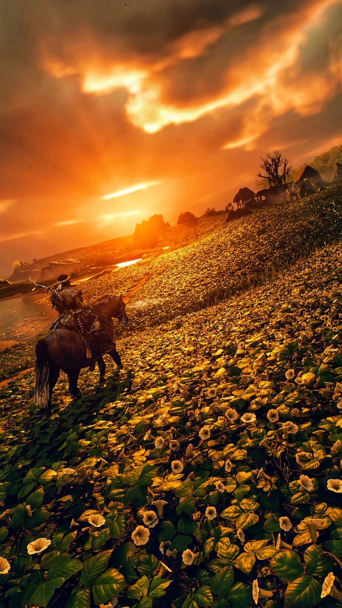 #TsushimaTuesday 
#HeroTuesday ⛅⛩️

⏫⏬