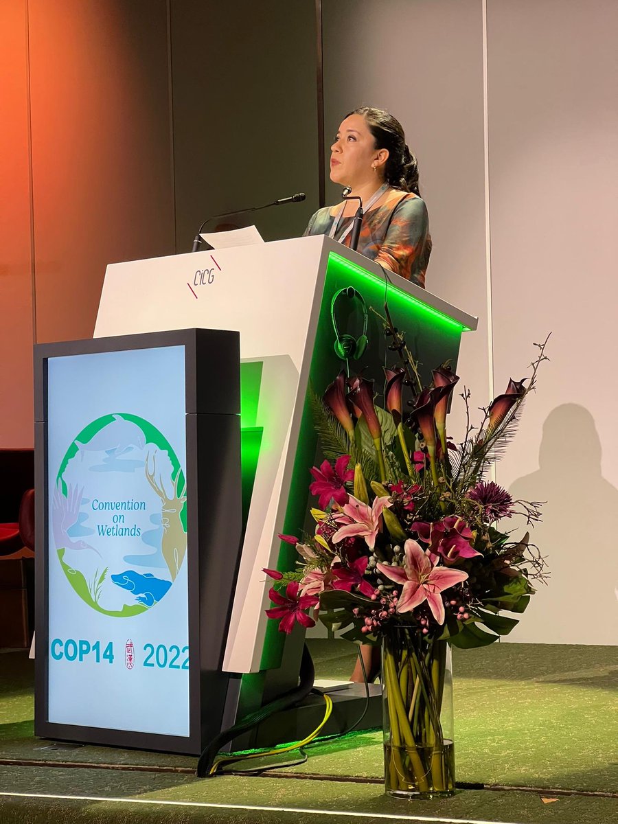PeruEnGinebra's tweet photo. En el marco de #COP14 de @RamsarConv, la peruana Ximena Giraldo @xgiraldo recibió el premio Ramsar por innovación por su trabajo con la @MuniLima y "los Niños y Niñas Guardianes de los @PantanosDVilla", sitio Ramsar en Lima. https://t.co/RFVgdjH0Ys