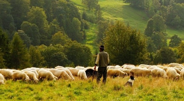 jlshine5's tweet photo. And Yeshua said to them, “You will all fall away, for it is written, ‘I will strike the Shepherd, and the sheep will be scattered.’ Mark 14:27 TLV
#JesusIsTheShepherd #BeASheep https://t.co/YhiODJiaxa