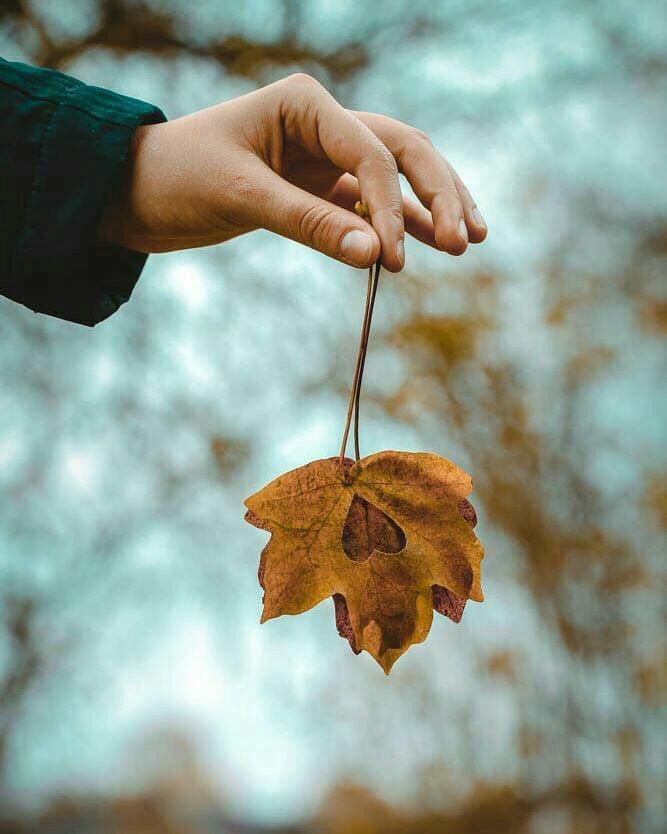 j0_j09's tweet photo. مدّ يدك لـ قلوب الناس بـ الخير
بالمـواساة بالحـب بالكـلمة الطـيبةبالإبتسامة
لـ تمتد يد الله لك بـ لطف خفي وأجر مضاعف https://t.co/xCmKFCXNqX