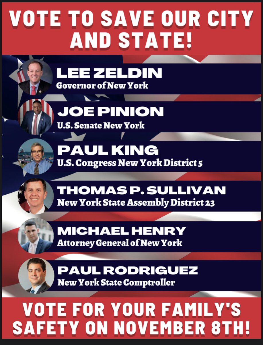 Todays the day, I want to encourage everyone to go out and vote - It is your right and civic duty My sincerest thanks to @sidrosenberg @HikindDov @RepPeteKing for their endorsements, support, and friendship! vote.nyc/page/find-your… #ElectionDay #ElectionDay2022 #Sully4Assembly
