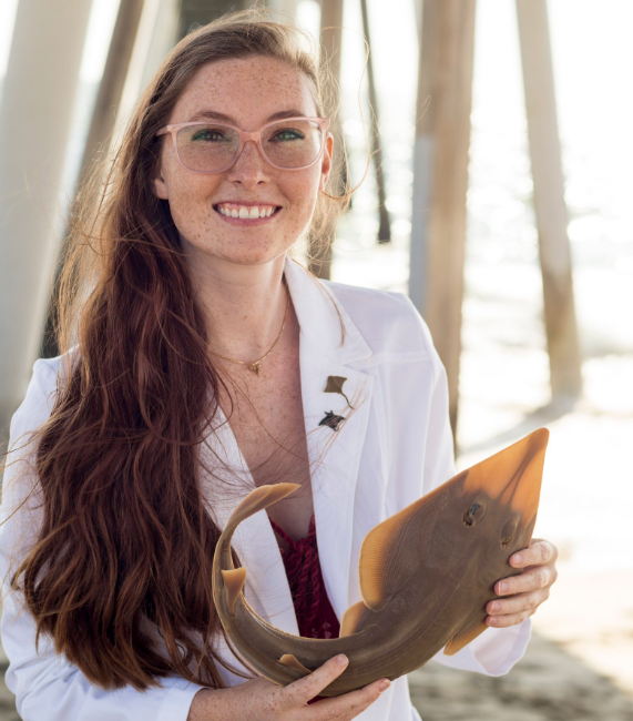 iobjournal@sicb.org (@iobjournal) on Twitter photo Get to know the <a href="/iobopen/">Integrative Organismal Biology</a> author of
Sniffing out #Stingray Noses: The Functional #Morphology of ##Batoid #Olfaction
doi.org/10.1093/iob/ob…
Kelsi Rutledge
<a href="/fishandfreckles/">Dr. Kelsi Rutledge</a>
youtu.be/CGSpbSbevNY Get to know the <a href="/iobopen/">Integrative Organismal Biology</a> author of
Sniffing out #Stingray Noses: The Functional #Morphology of ##Batoid #Olfaction
doi.org/10.1093/iob/ob…
Kelsi Rutledge
<a href="/fishandfreckles/">Dr. Kelsi Rutledge</a>
youtu.be/CGSpbSbevNY