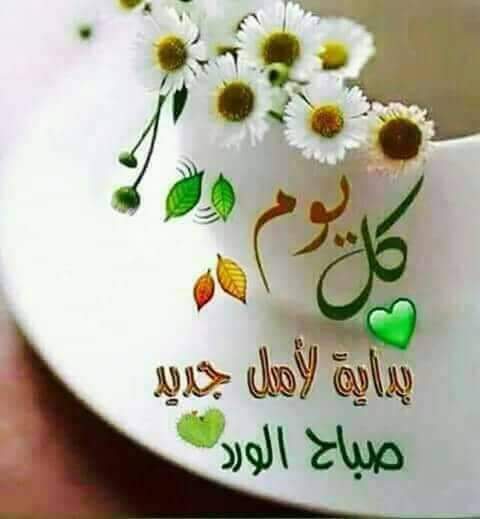 #مزيدا 
#COP27 
#Copy22 
تحيا مصر