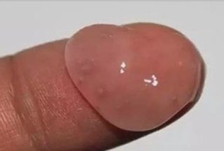 Do you trust your Mind,!?🫣😂