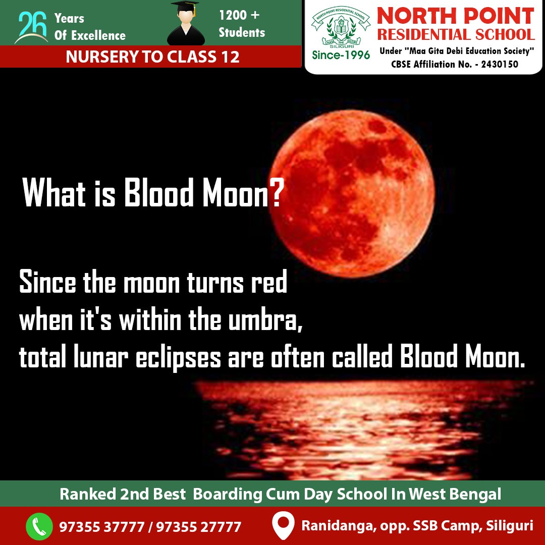 NORTHPOINTRESI's tweet photo. Understanding the Phenomenon of Lunar Eclipse. 

#Northpointresidentialschool #Lunareclipse #Geography #Astronomy #Cosmology #Bloodmoon #Totaleclipse #Timeduration #Spaceandtime https://t.co/YUwRt24AgR