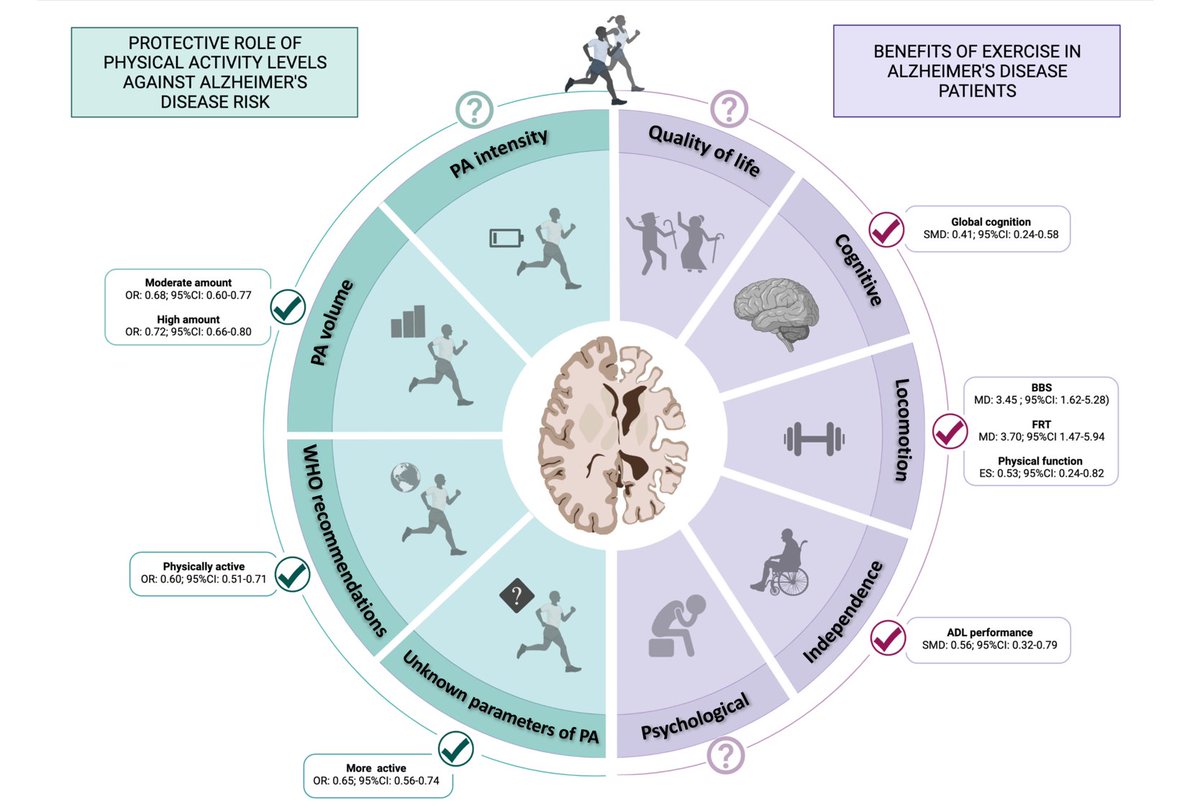 Publicado en Journal of Neurology💣 El ejercicio no solo reduce el riesgo de sufrir Alzheimer🧠 sino que también ejerce beneficios (cognitivos y físicos) en personas que ya tienen la enfermedad. #Alzheimers Gran trabajo de @SusanaLopeez97 link.springer.com/article/10.100…