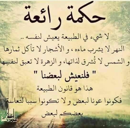 #مزيدا
#COP27 
#قمة_المناخ_مصر_2022 
تحيا مصر شامخة مدى الحياة