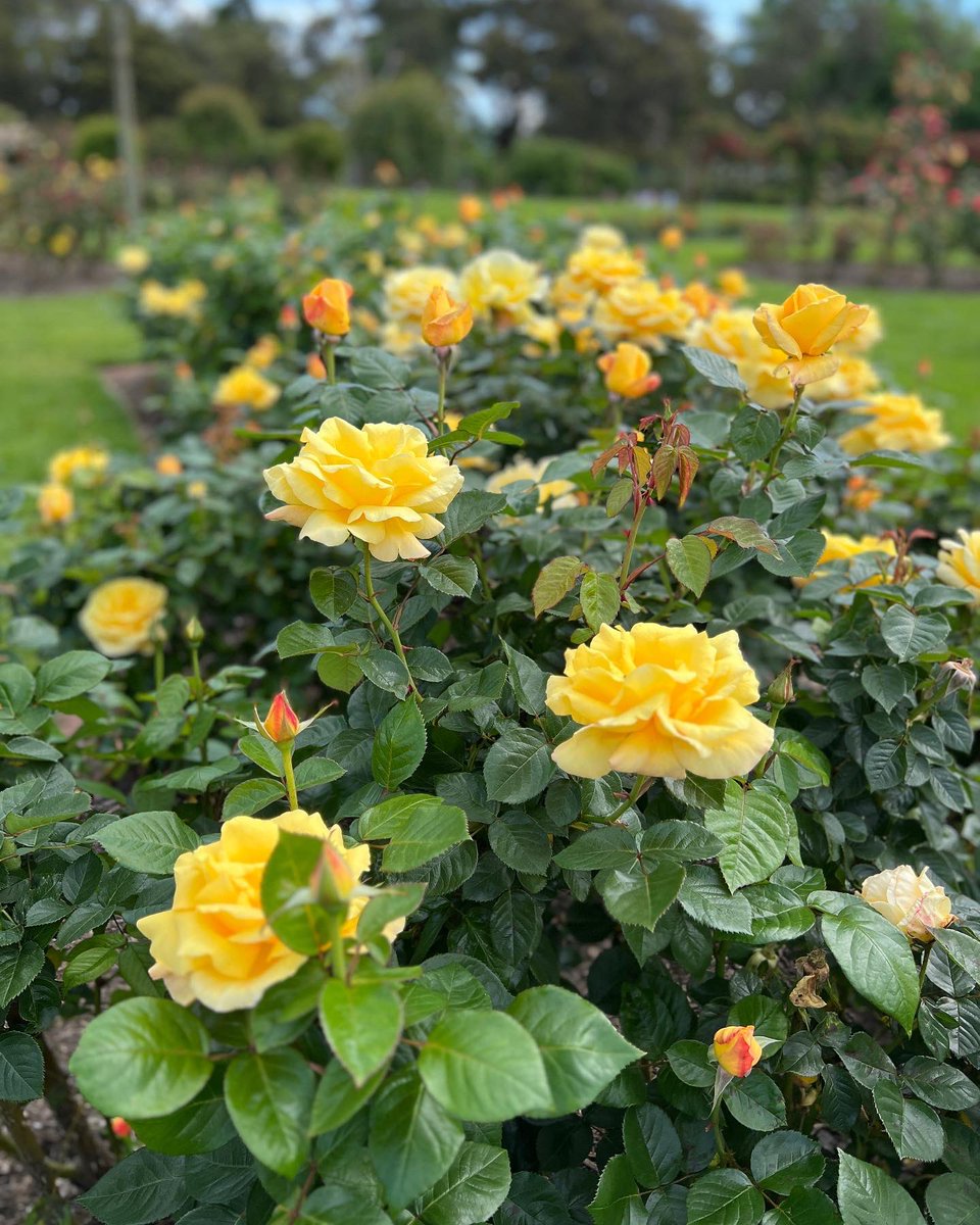 Cameron Tasker tweet media