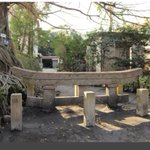 ツイートに含まれる画像