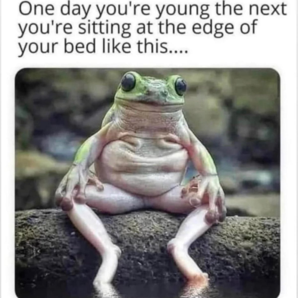 RickeySmiley's tweet photo. #TimeFlies 🪰🐸 https://t.co/Bq0gOV0PCd