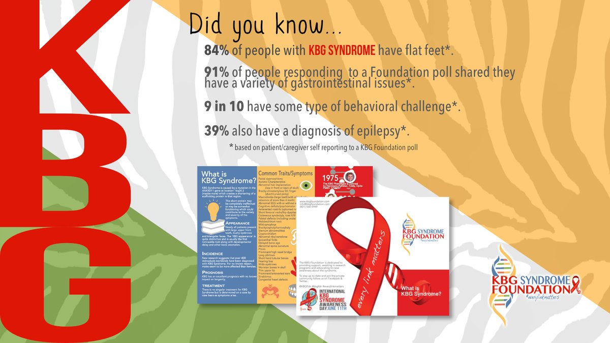 RareRevolutionM's tweet image. We’re rare, but we’re united. The #KBGFoundation joins families and patients and connects researchers studying #KBGsyndrome, because #everylinkmatters #tuesdaytakeover tinyurl.com/KBGresources
@KBGFdn