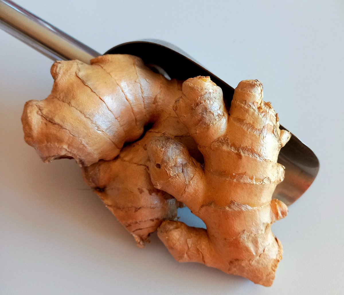 #copifor #pimenton #paprika #spices #especias #sabor #gastronomia #cooking #cuisine #Murcia #color #gourmet  #food #foodie #gastronomy #flavour #cocina #recetas #recipes #comida  #dinner #flavor #condimentos #gusto #taste #murciaquehermosaeres