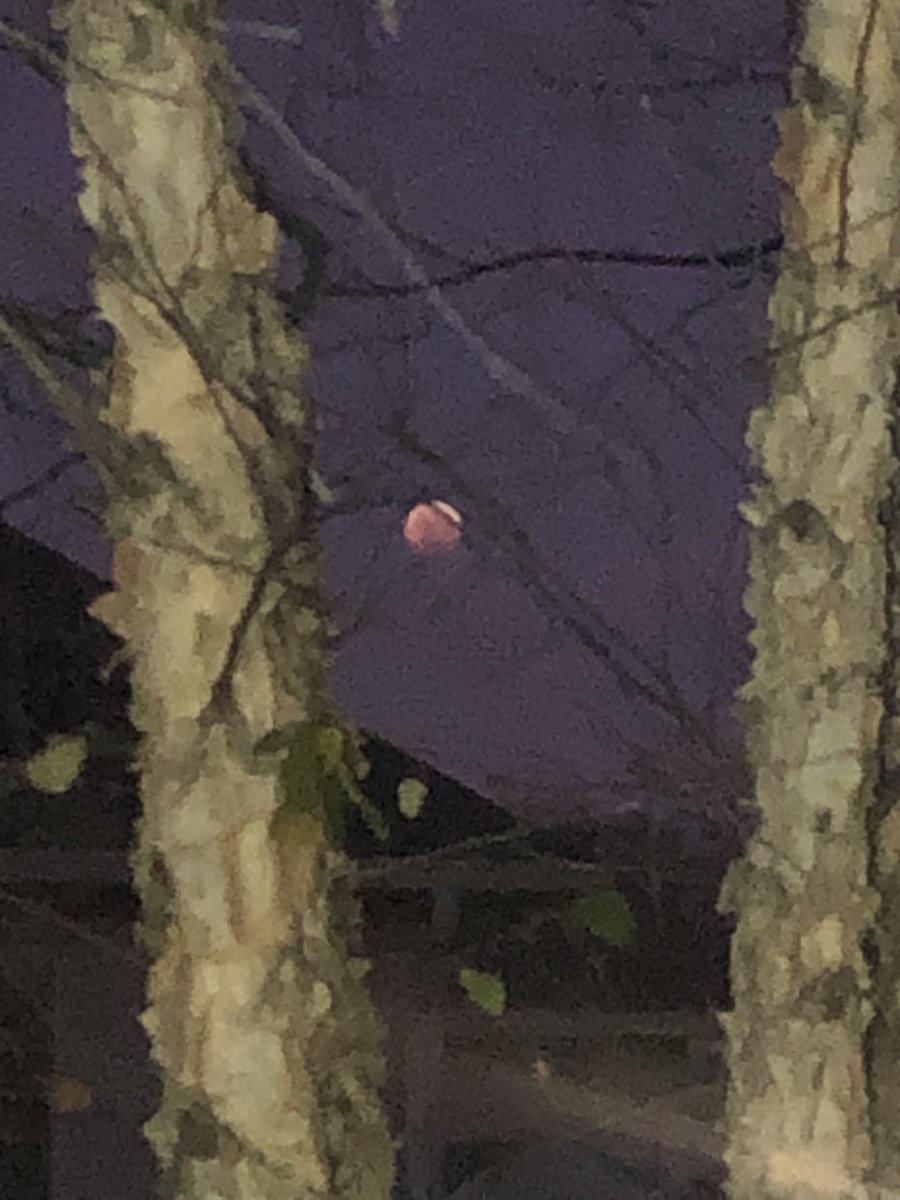 Julie Tuttle Davis tweet media