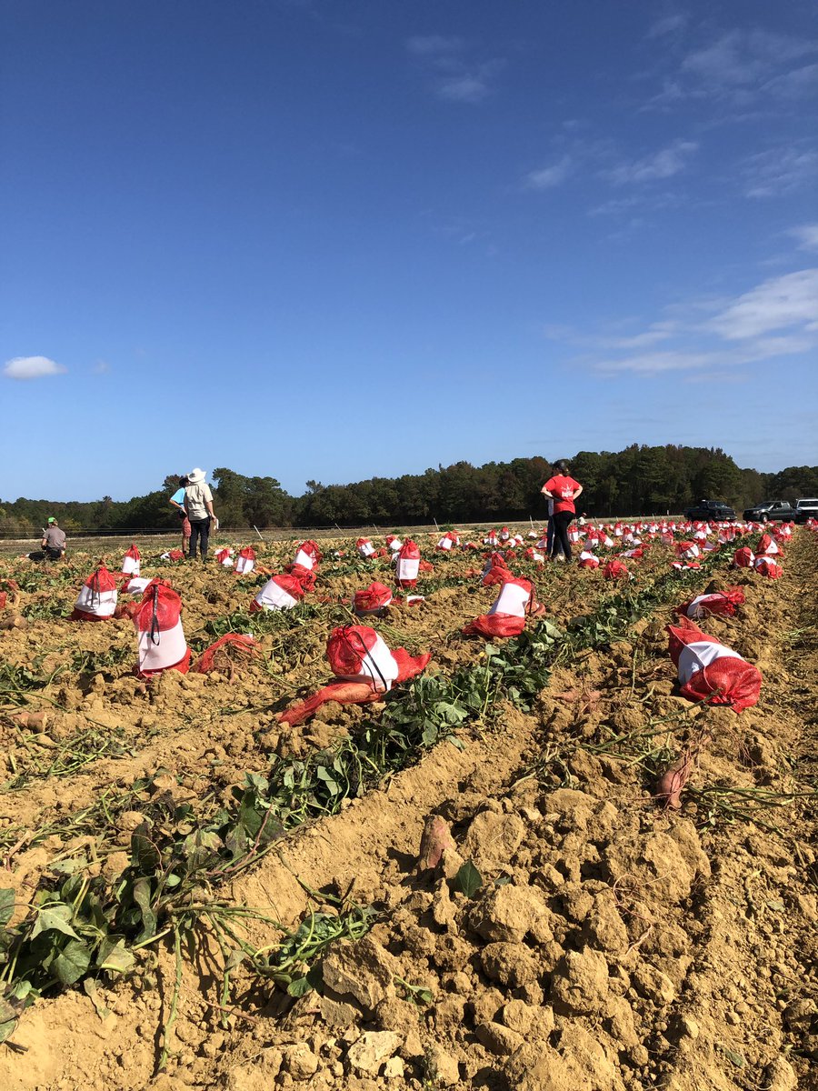 Modesta Abugu tweet media