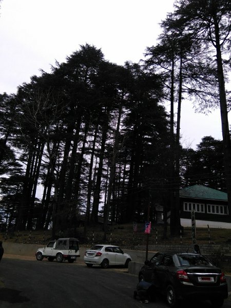pratyaksha___'s tweet photo. #nature 🌲🌲 https://t.co/ONuP5c2Avh