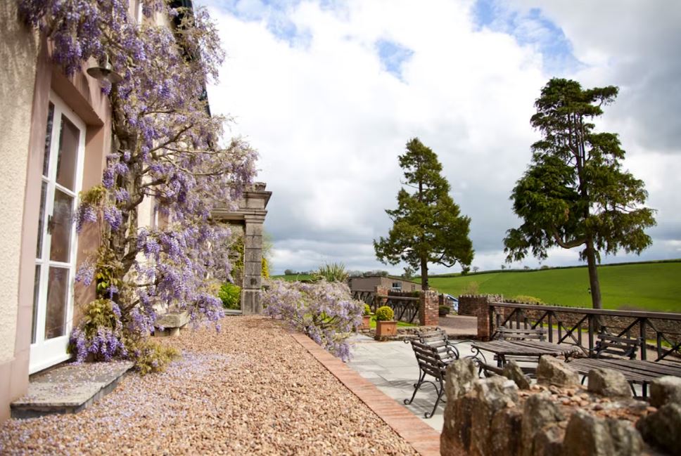 TheHolidayCots's tweet image. Weekend break available 9th-12th of December for £1950 for up to 14 guests at Hurstone House. This is a delightful country house within easy reach of Exmoor. 
🛌Sleeps 1-14
theholidaycottages.co.uk/Somerset/2890 
#Waterrow #Taunton #Somerset #ExmoorNationalPark #WeekendBreak #December #Groups