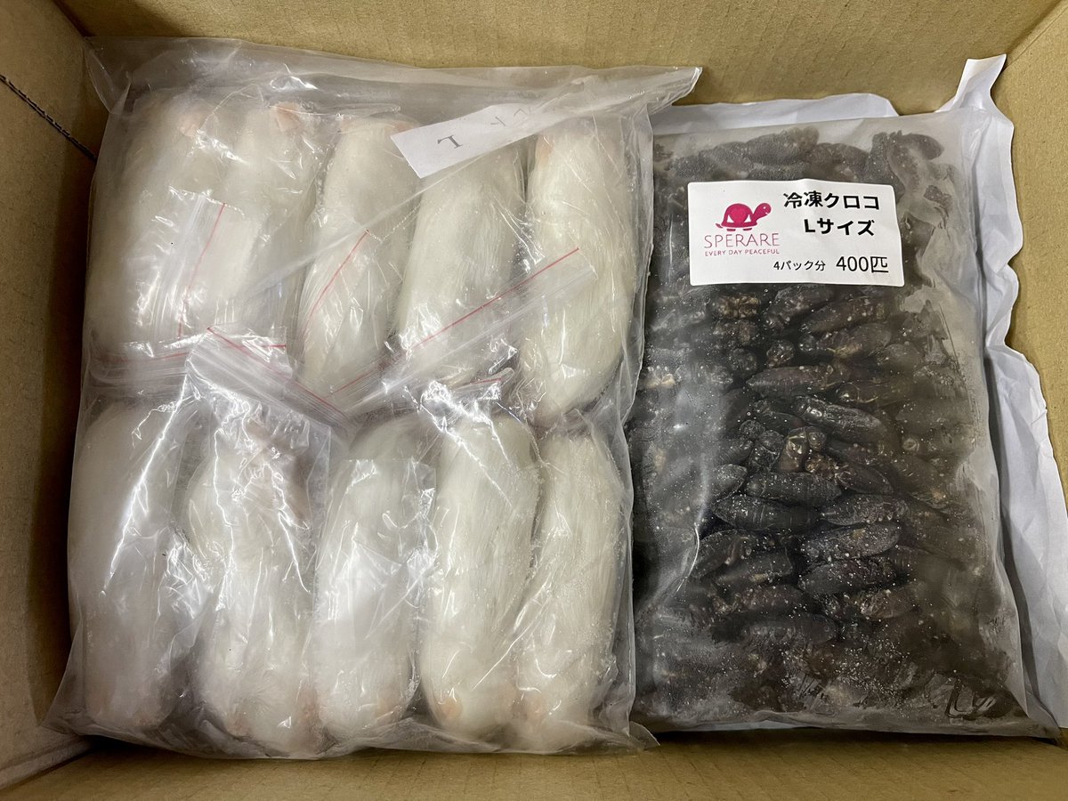 REP_SPERARE's tweet photo. 本日は月食ですね🌑
11月に入りまだ体調が安定していませんが
通販は再開していますので本日もご注文ありがとうございます。
#月食
#爬虫類餌
#冷凍餌通販
#冷凍コオロギ
#冷凍クロコ
#MonitorFeed
#モニターフィード https://t.co/9SEklIF5Hu