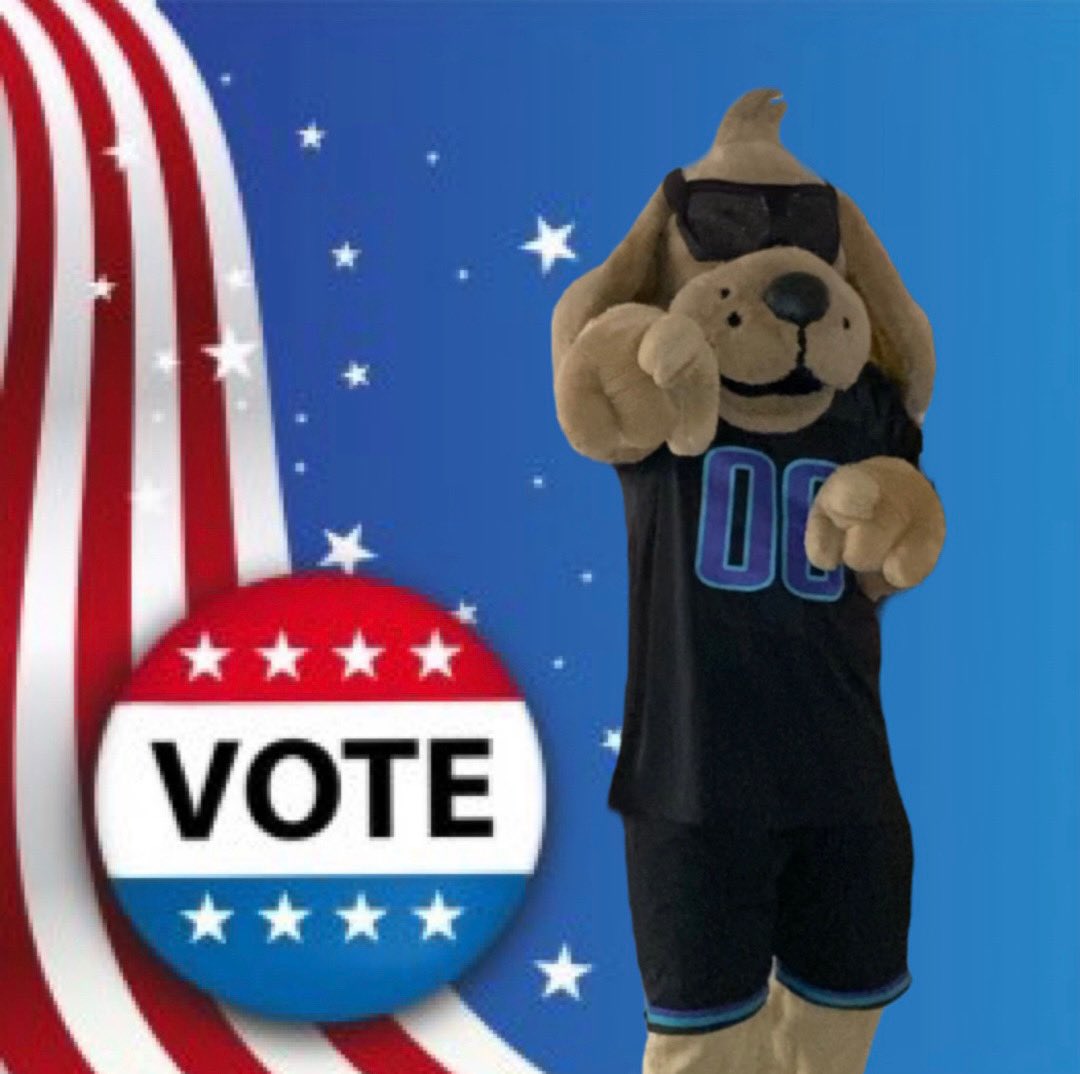 It’s Election Day 2022. Time to cast your ballot. And yes, I voted too! 🗳🐾