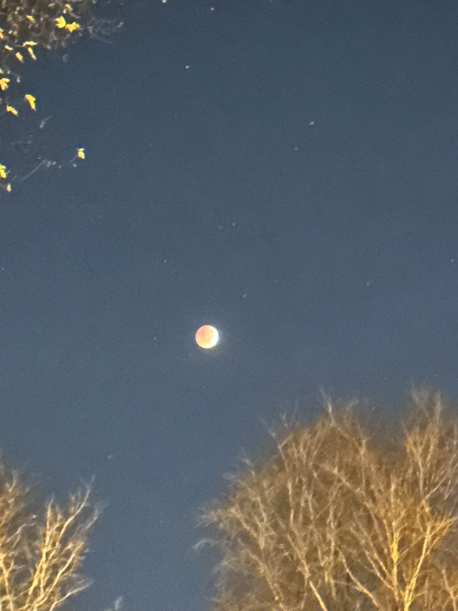 I got up at 5:24am because why??? #BeaverBloodMoon