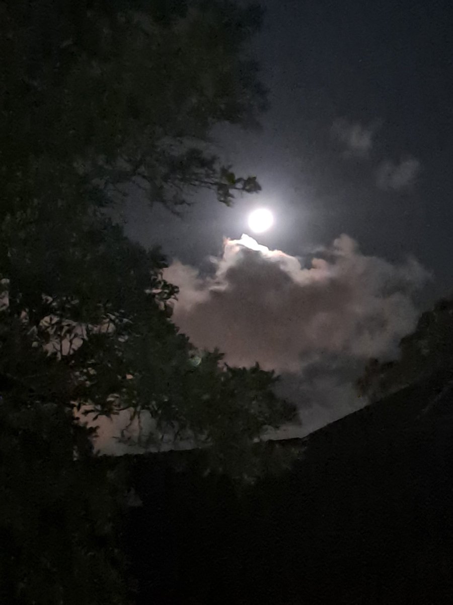 Adrienne_V's tweet photo. Before the blood...but still moon-y and dramatic #LunarEclipse https://t.co/0okO5ZBl0P