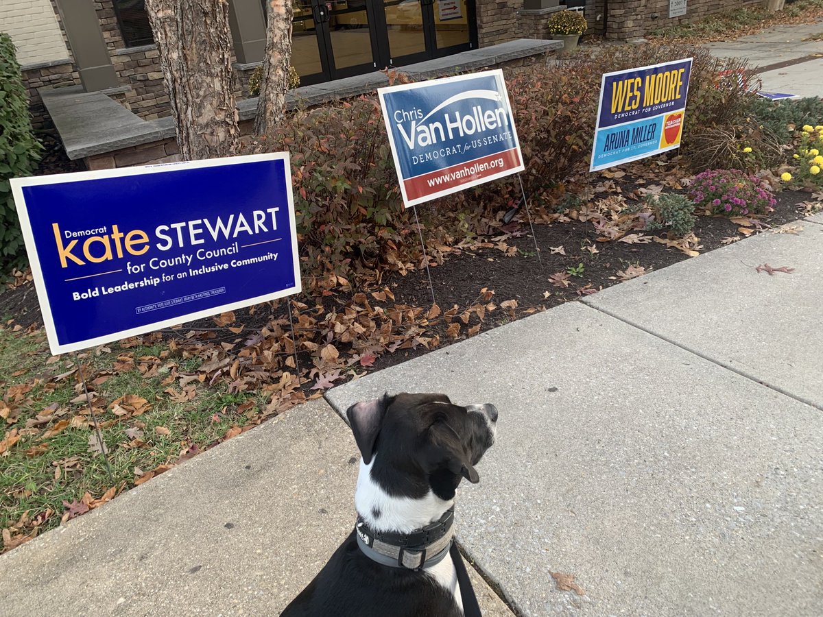 jlgriffith7's tweet photo. Polling station #1 — D isn’t just for Dog, it’s for Democrats. ⁦@VoteKateStewart⁩ ⁦@VanHollenForMD⁩ ⁦@iamwesmoore⁩ https://t.co/J77WB6sCMS