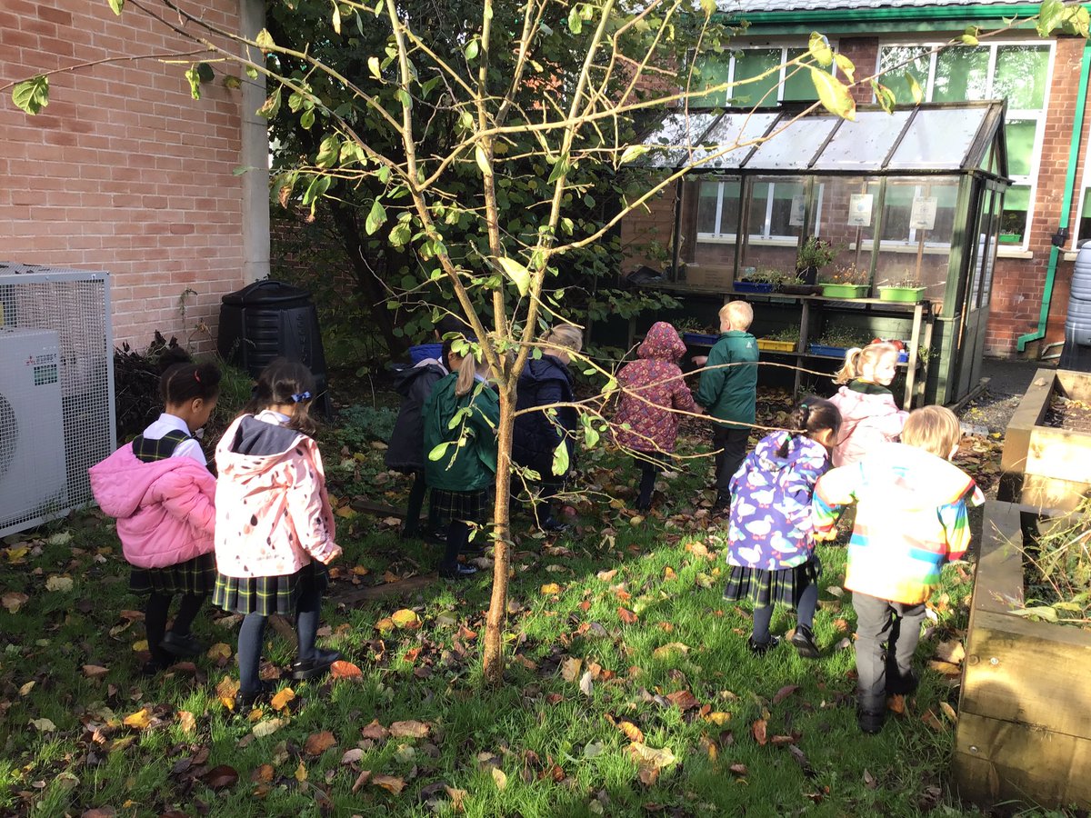 laceygreenpa's tweet image. R1 went outside and looked at all the changes of autumn. We talked about how the leaves change and what we need to wear! #LGPAScience