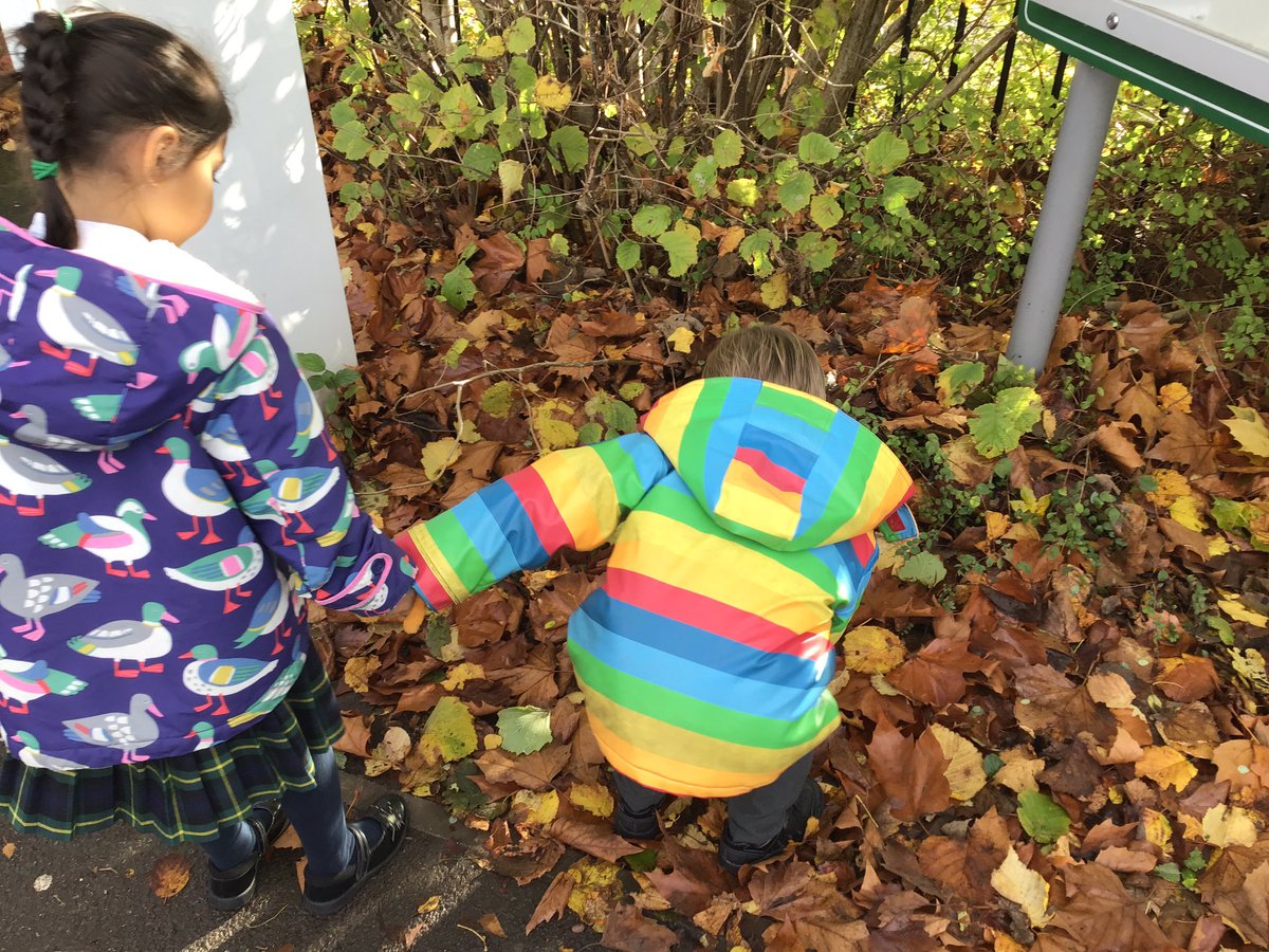 laceygreenpa's tweet image. R1 went outside and looked at all the changes of autumn. We talked about how the leaves change and what we need to wear! #LGPAScience