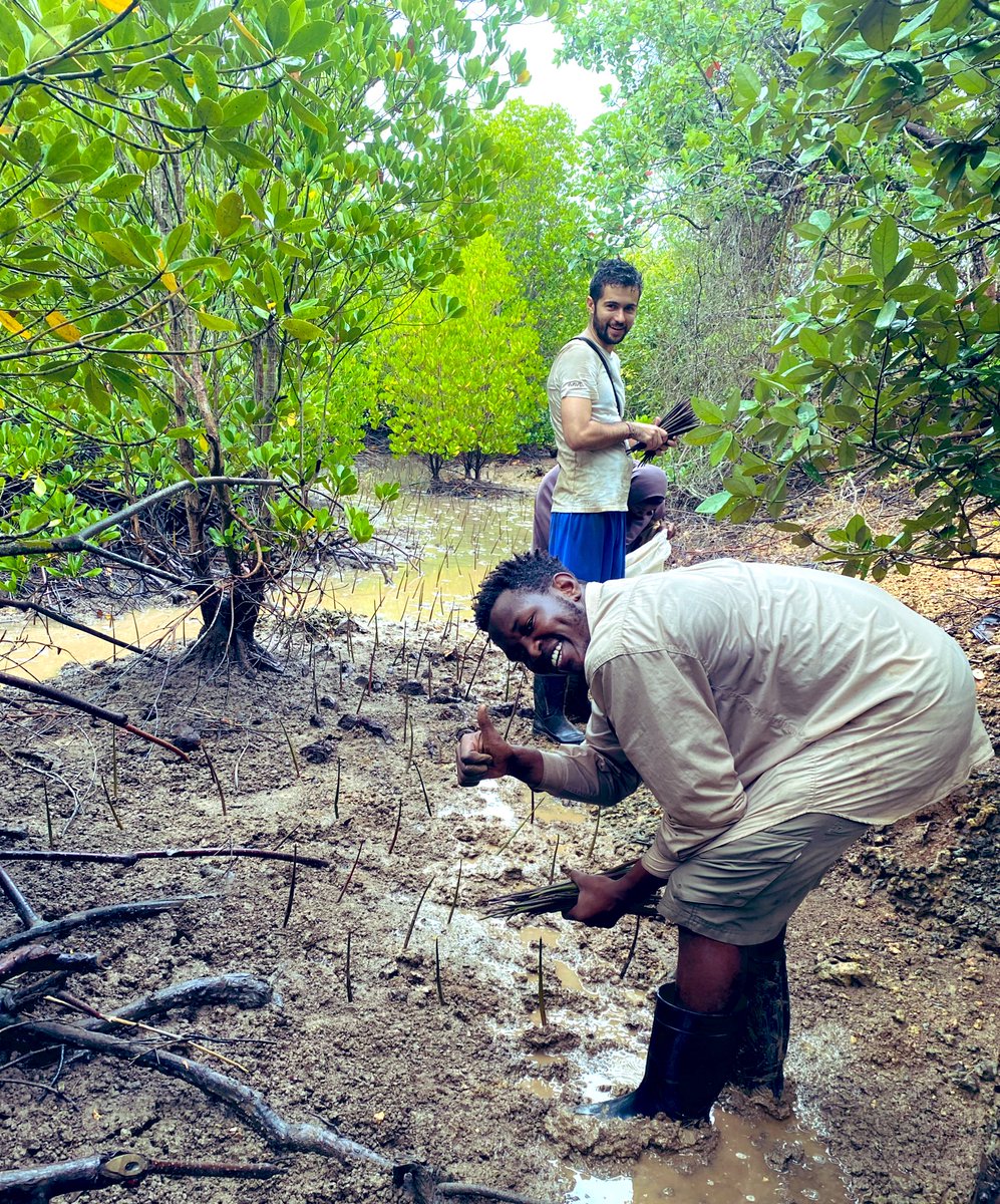 Jimi.tgn tweet media