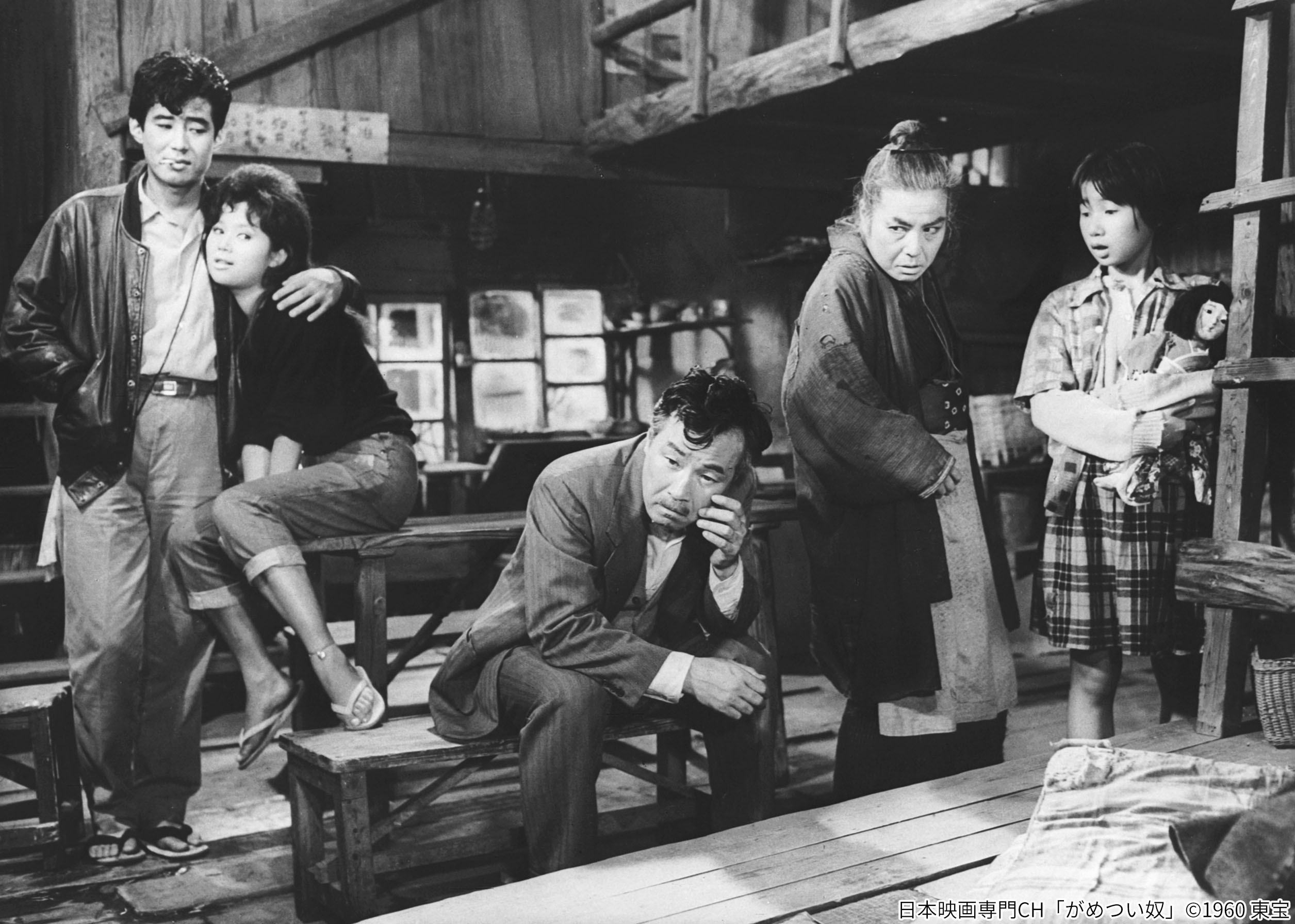 日本映画専門チャンネル on X: 日本映画専門チャンネル on X: