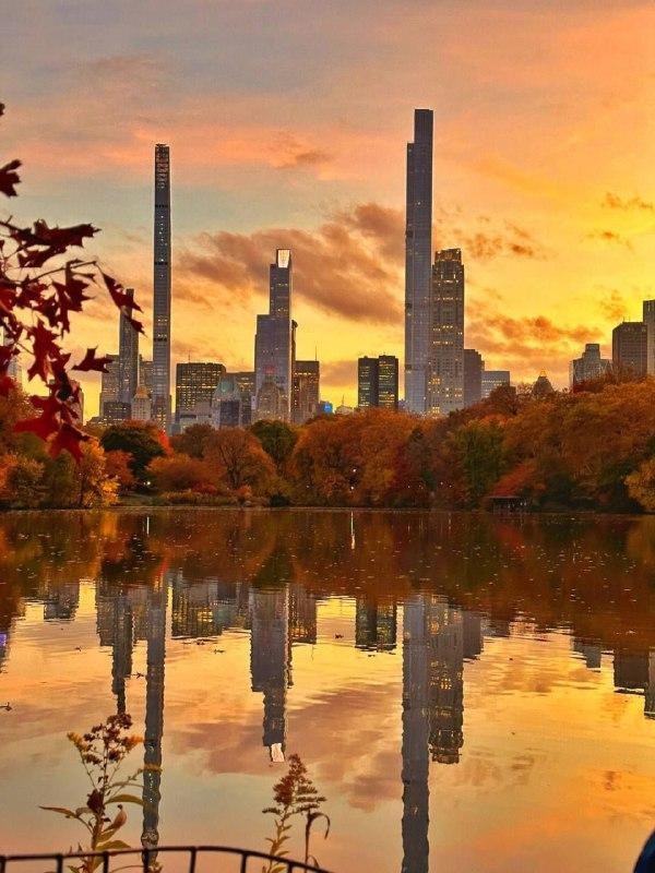 Monicfghj's tweet photo. #New York Autumn in New York (Central Park) https://t.co/ojOmSyDxgs