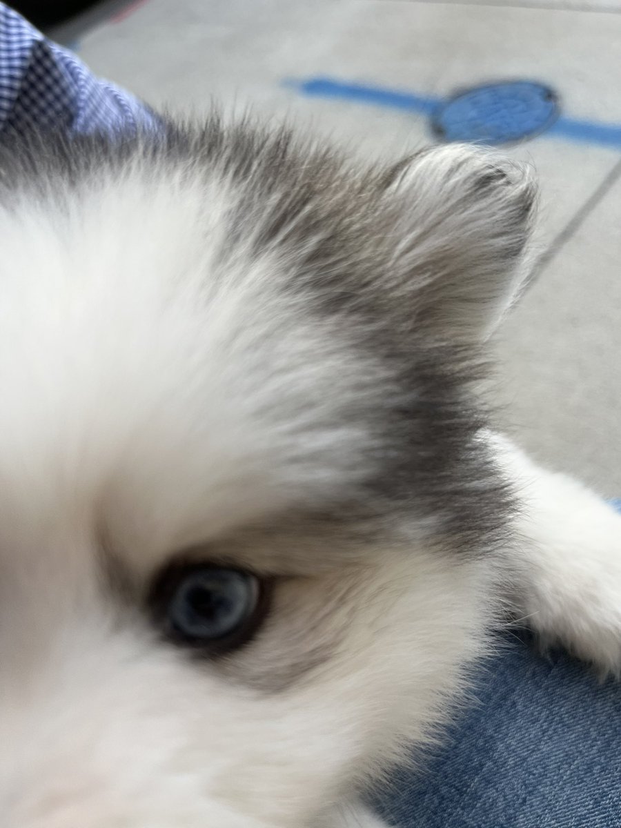 NorwoodJohn's tweet image. Get out and vote today! Vote for the protection of Our Pets. Our Farmers. Our Farms. Our People. Our Health. Our Water. Our Soil. Our Monarchs.🦋 Our State. Our Country. Our Democracy. Our World. 🌎 Our Future. Vote John Norwood!  @Norwood4Iowa #ElectionDay #elections2022