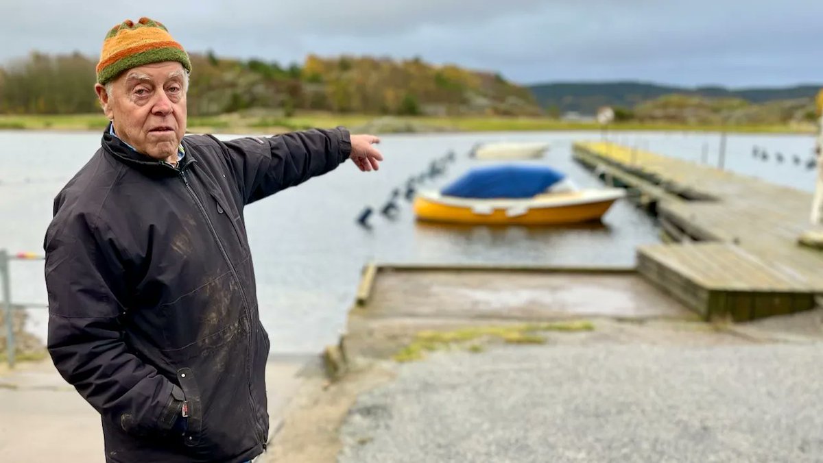 Meny i P1 tweet media