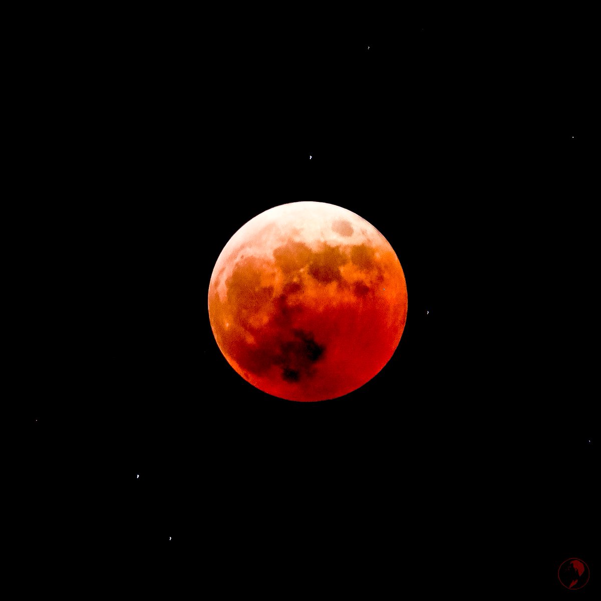 Amit_Tokyo's tweet photo. It’s a double eclipse today with Uranus and Moon hiding behind Earths shadow. Observed after a gap of 442 years. #beavermoon #bloodmoon #moon #eclipse #doubleeclipse #uranus #Canon #eos #tokyo #japan https://t.co/JTQ65UnU3T