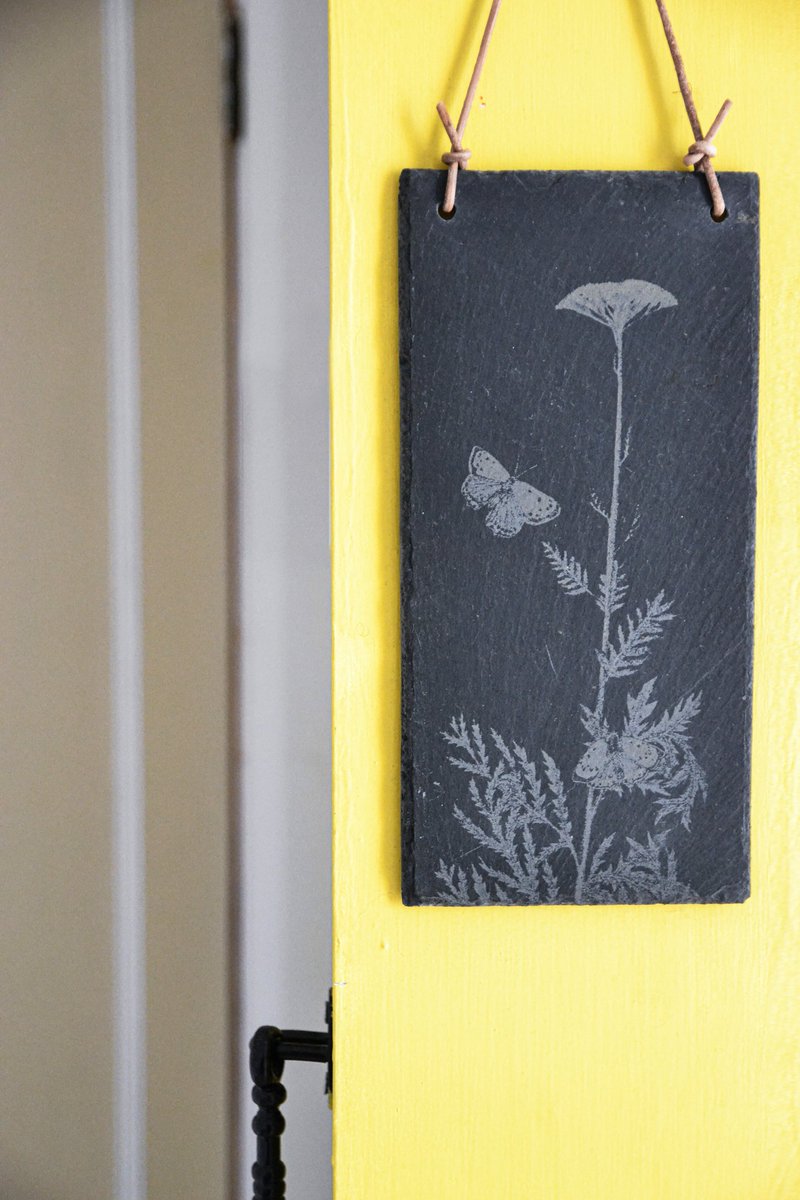 A new drawing on slate. Yarrow and small copper butterflies. Observations from my garden. Engraved on salvaged slate with leather cord. £35 each.

#giftideas
#salvage #reclaimed #upcycle #slate #botanicalart
danielheath.co.uk/product/yarrow…