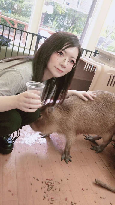 カピバラさんと遊んだよーここは2頭カピさんがいる喫茶店#カピバラ #動物ふれあい 