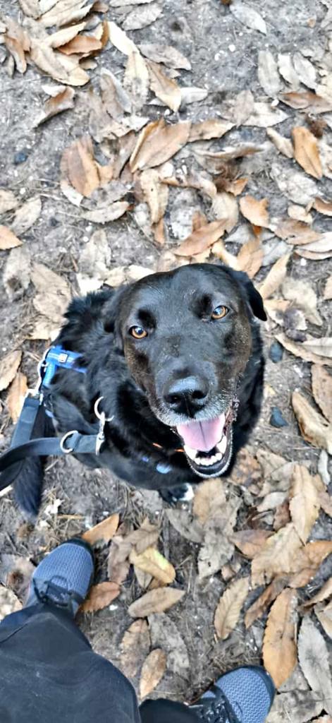 Ihr Lieben vom #twitterrudel , da ich ja nicht mehr selbst am Weihnachtswichteln teilenehmen kann, da ich euch inzwischen von gaaanz oben zuschaue,hab ich meinen Fraund Travis gebeten, für mich dabeizusein.   Ich habe für ihn einen Wichtelpartner bekommen!Das ist so schön! Danke!