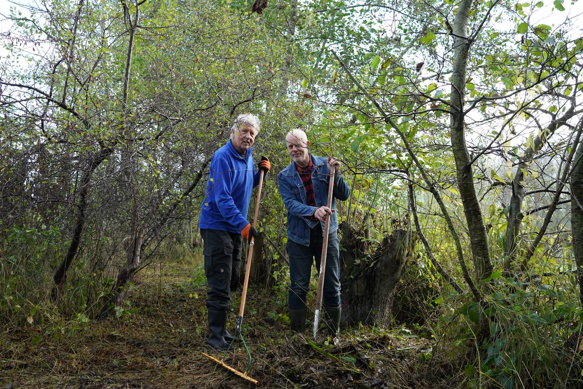 BoswachterTies's tweet photo. De #natuurwerkdag was weer een groot succes. Op 4 plekken binnen ons werkgebied waren groepen mensen aan de slag in de #natuur. In de #goudsehout #polderoukoop en 't #loetbos. Onderstaande plaatjes zijn in polder #Bloemendaal. Bedankt vrijwilligers!๐ค ๐ https://t.co/ToxewMmDav