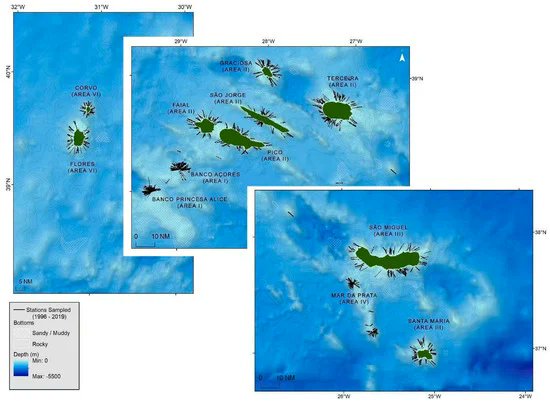 Biology MDPI tweet media