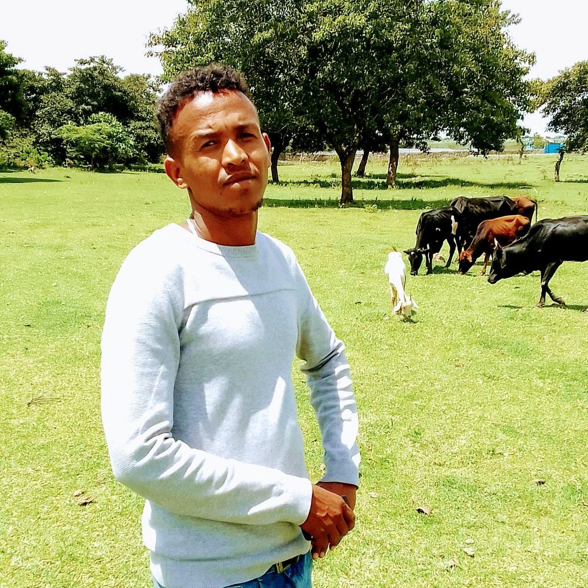 Hi all of plc follow me