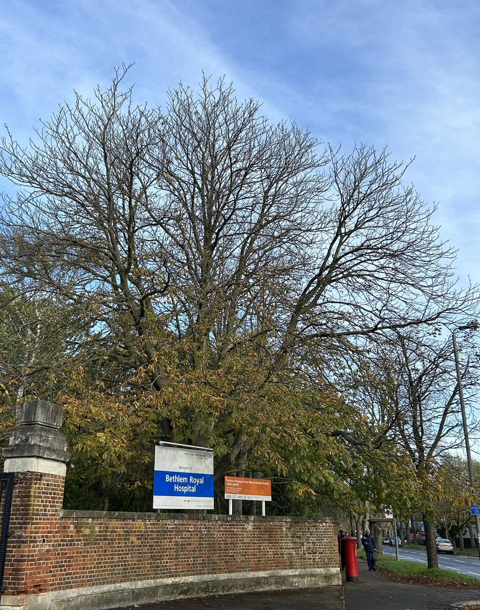 CaFIStudyLDN's tweet image. Had a great time today at #BethlemRoyalHospital talking to staff and service users about CaFI 😁