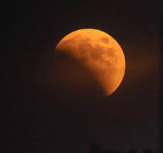 Doug Mastriano tweet media