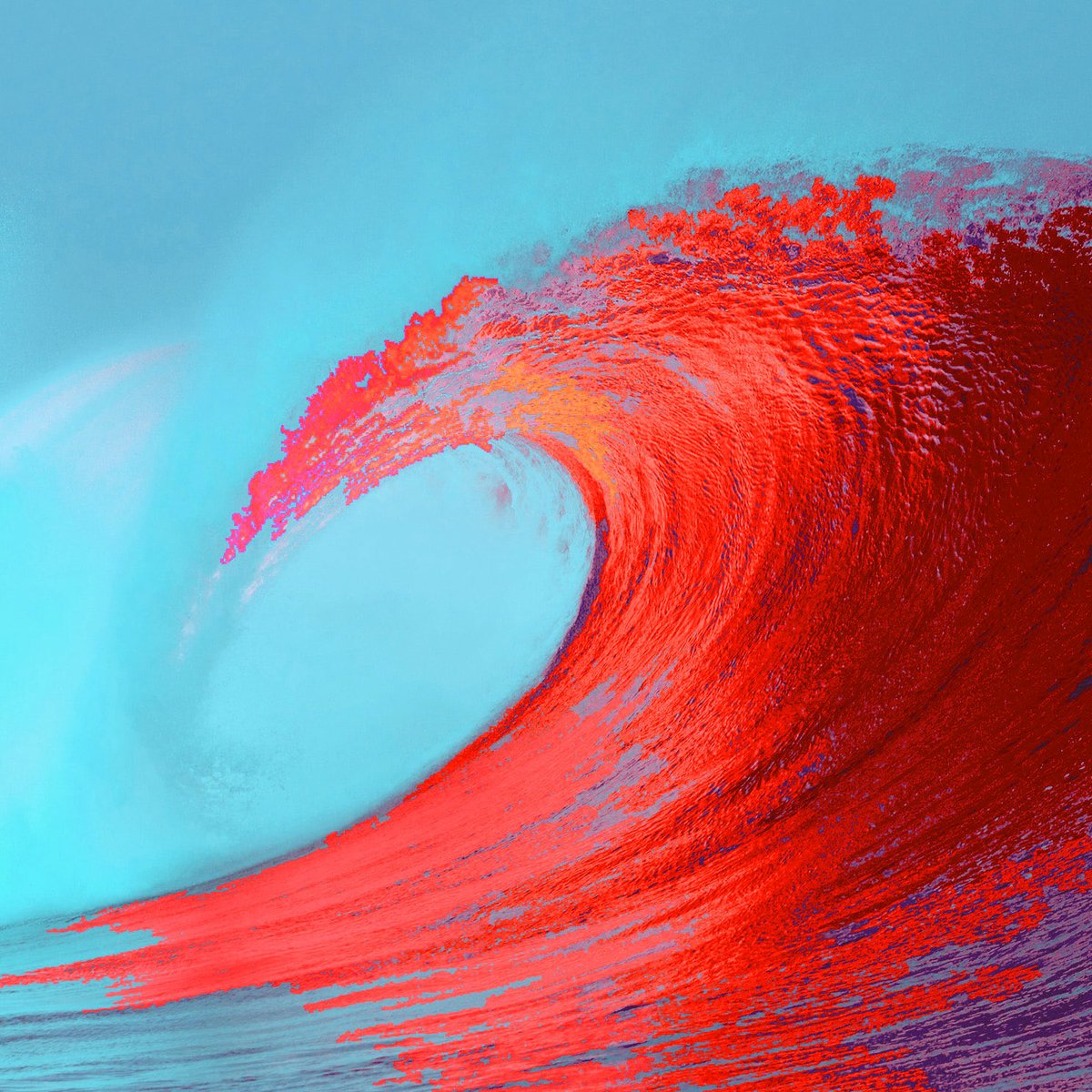 Ryan Caparoni tweet media